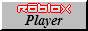 ROBLOX Player
