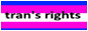 Trans Rights
